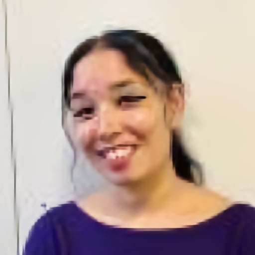 Dina Strestha