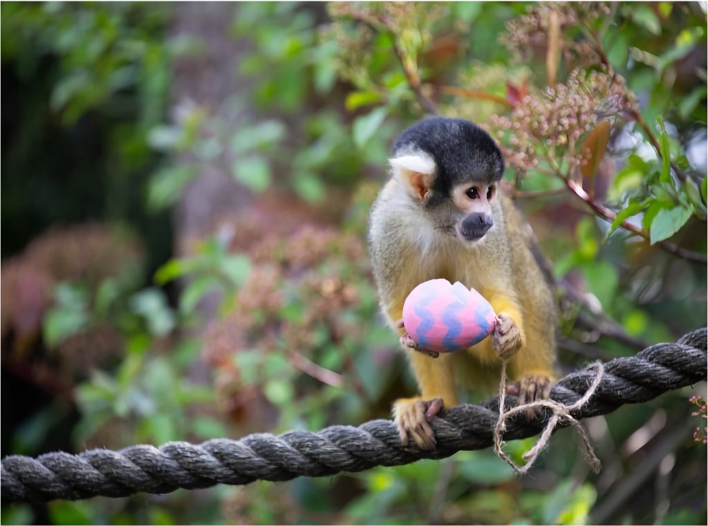 RPTB Easter 2026 Newsletter